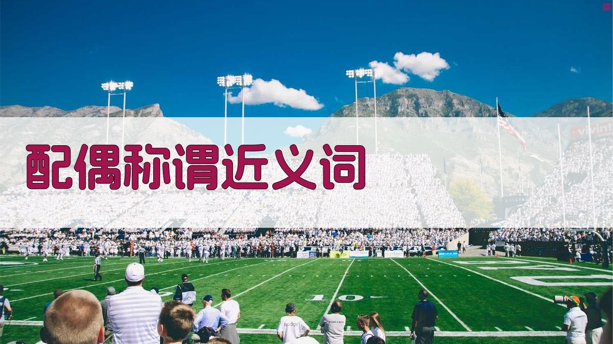 AI 配偶称谓近义词生成