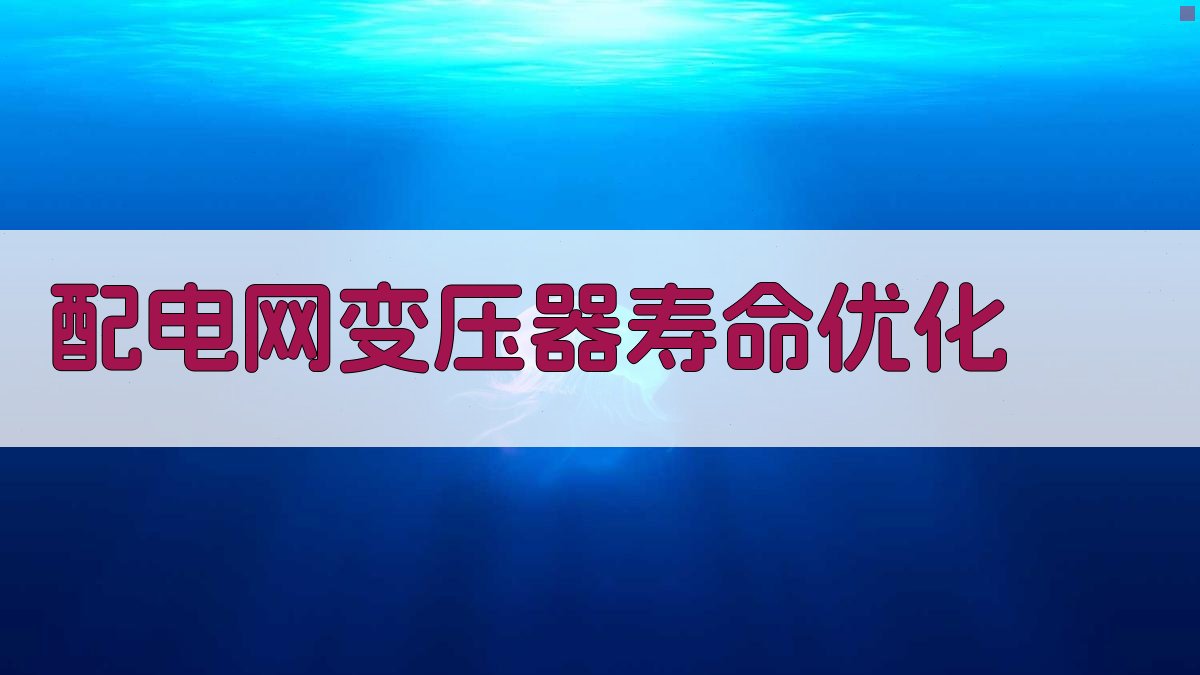 配电网变压器寿命优化工具
