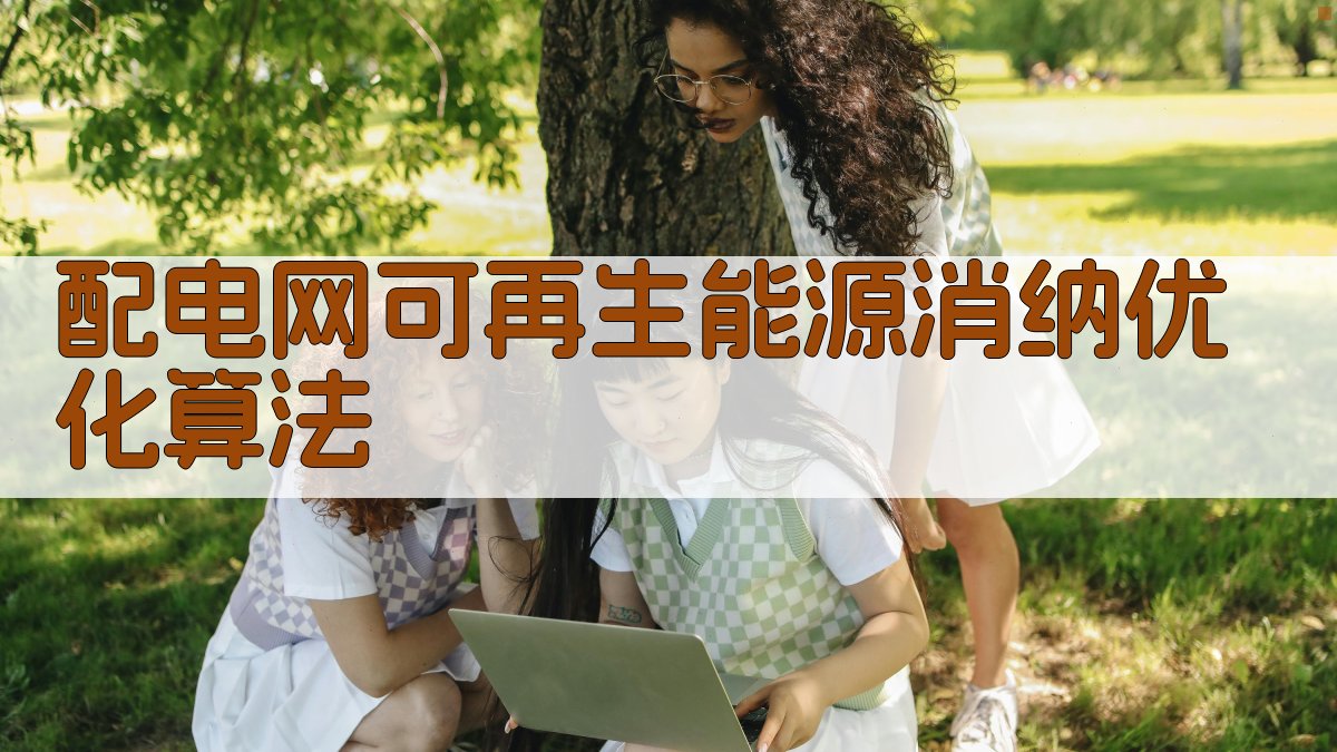 新型电力系统下配电网可再生能源消纳优化算法