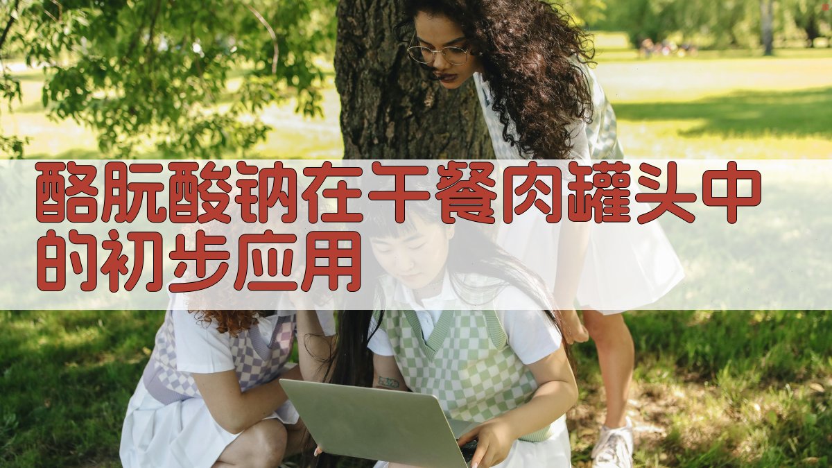 AI智能分析酪朊酸钠在午餐肉罐头中的初步应用