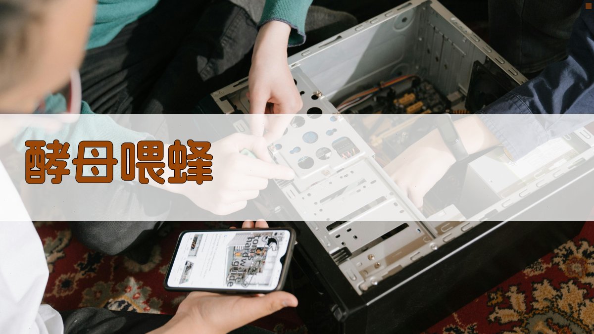 AI酵母喂蜂指南生成器