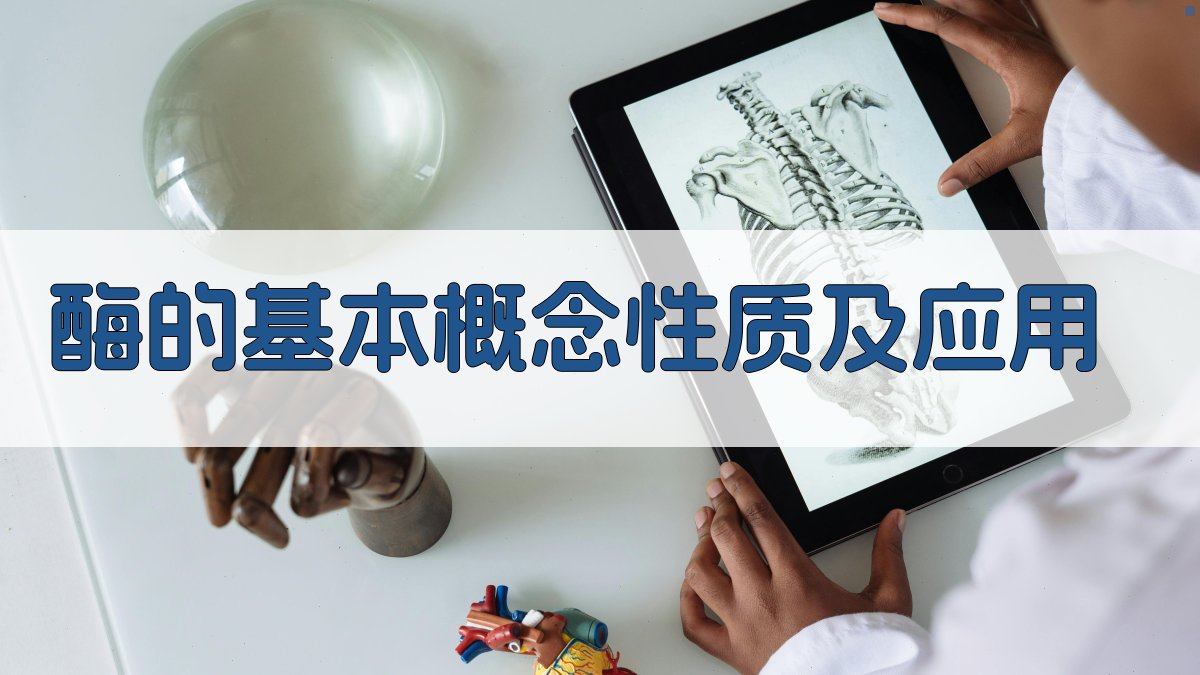 酶的基本概念、性质及应用