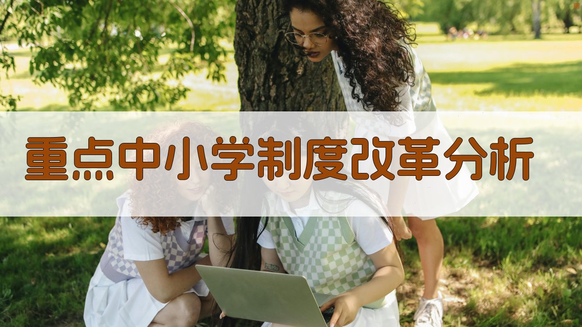AI重点中小学制度改革分析工具