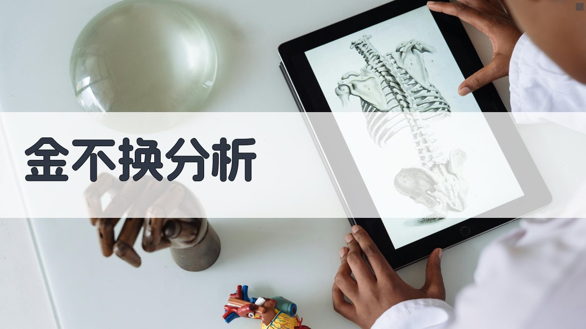 AI金不换分析