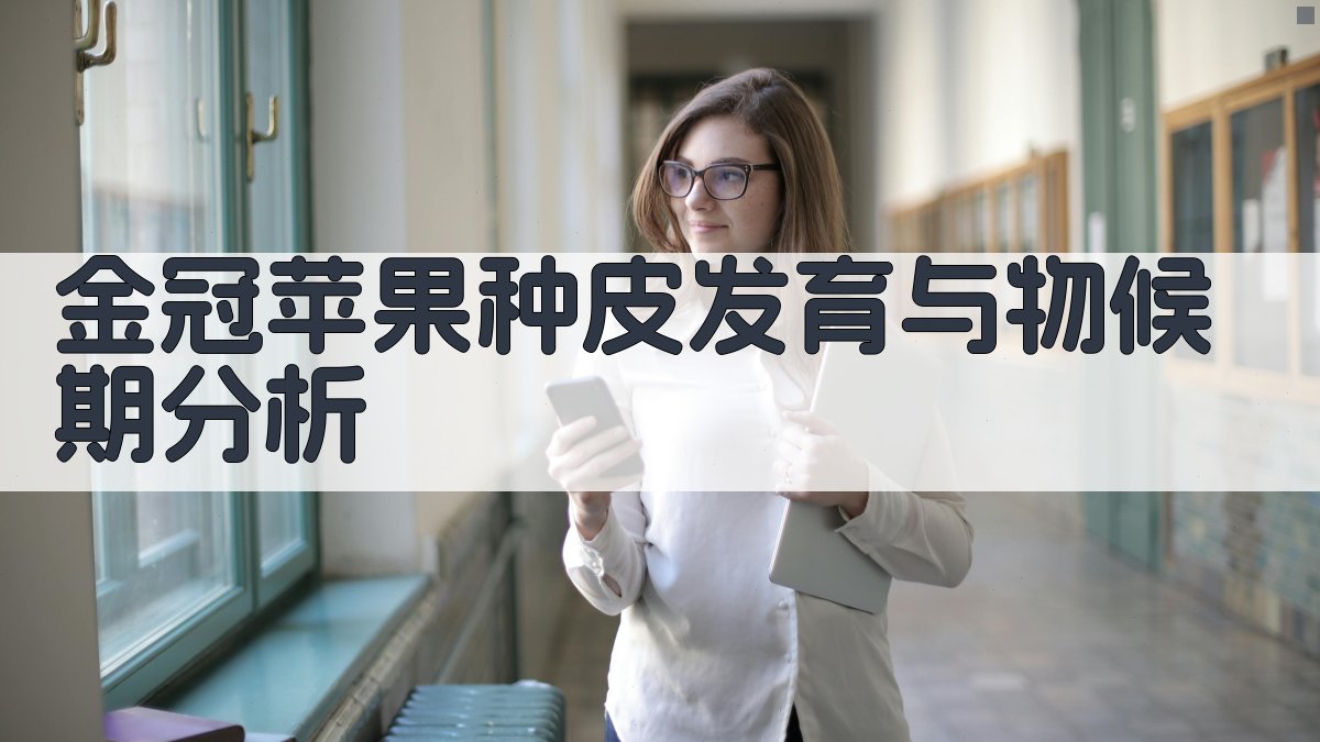 金冠苹果种皮发育与物候期分析