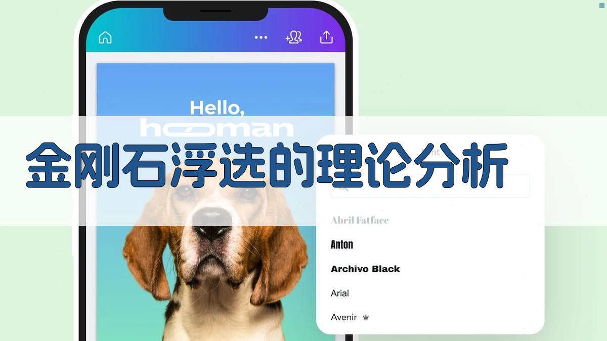 金刚石浮选分析