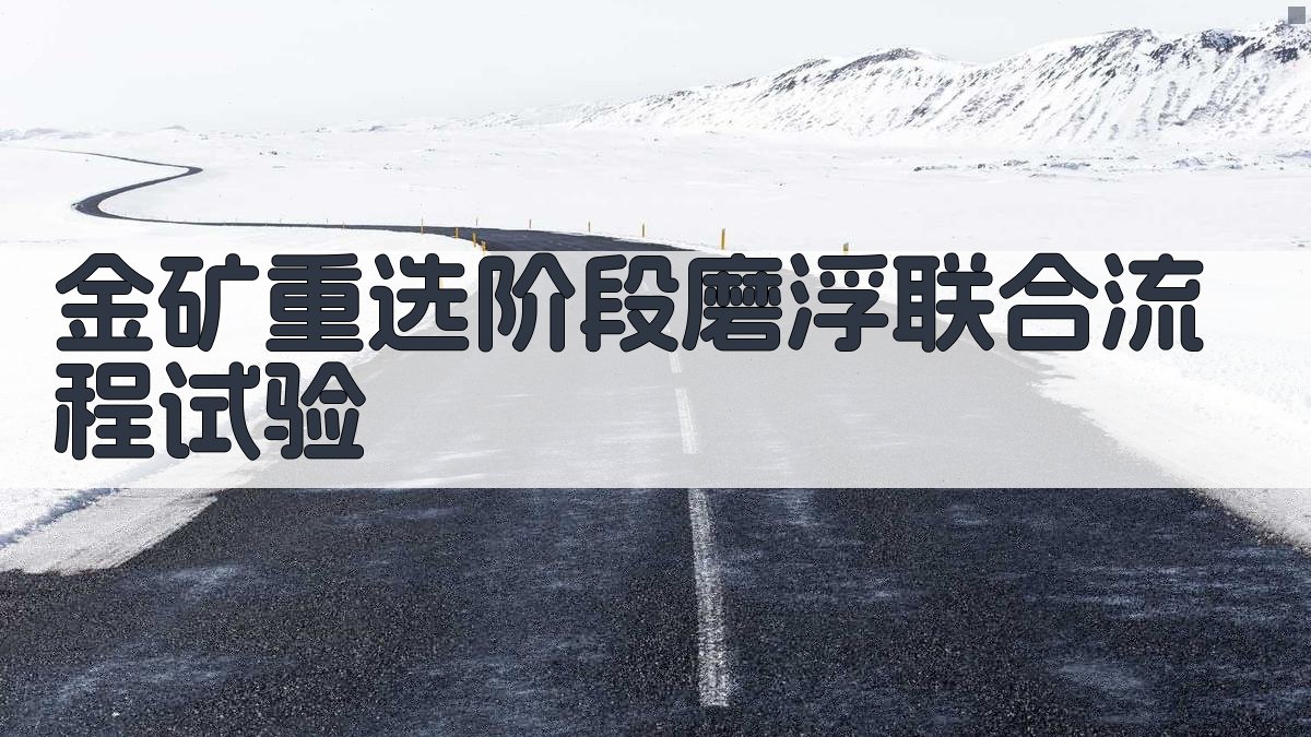 AI一键生成金矿重选阶段磨浮联合流程试验研究目录