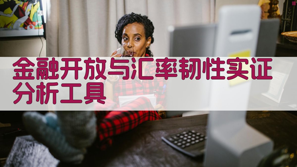 金融开放与汇率韧性实证分析工具