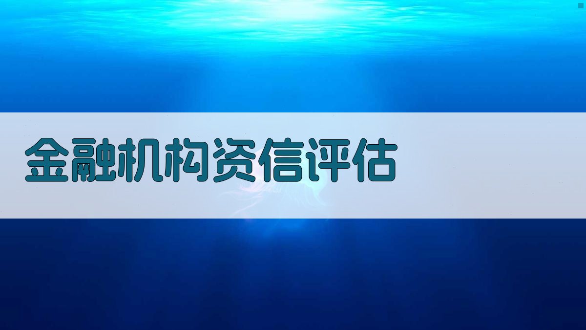 金融机构资信评估