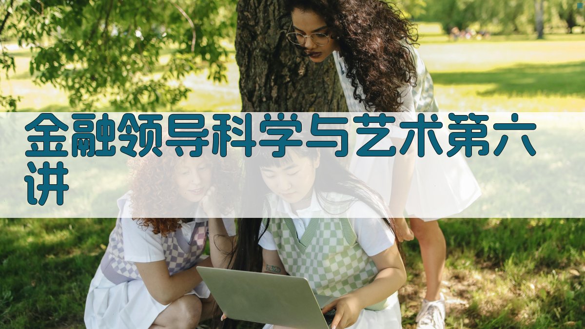 金融领导科学与艺术第六讲分析工具