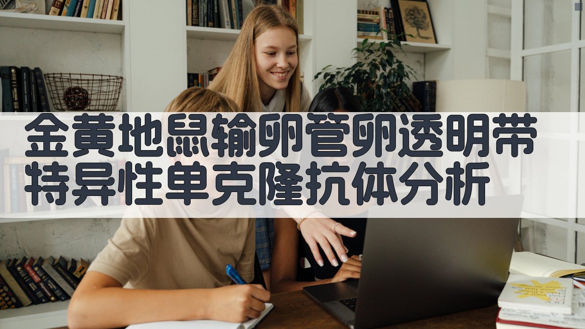 金黄地鼠输卵管卵透明带特异性单克隆抗体分析