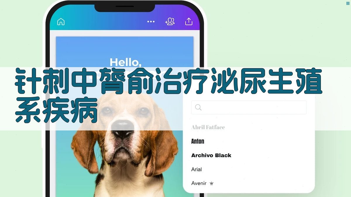 针刺中膂俞治疗泌尿生殖系疾病