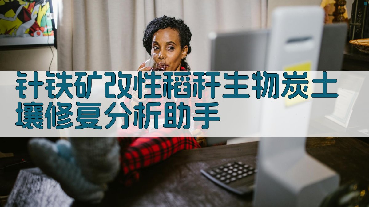 针铁矿改性稻秆生物炭土壤修复分析助手