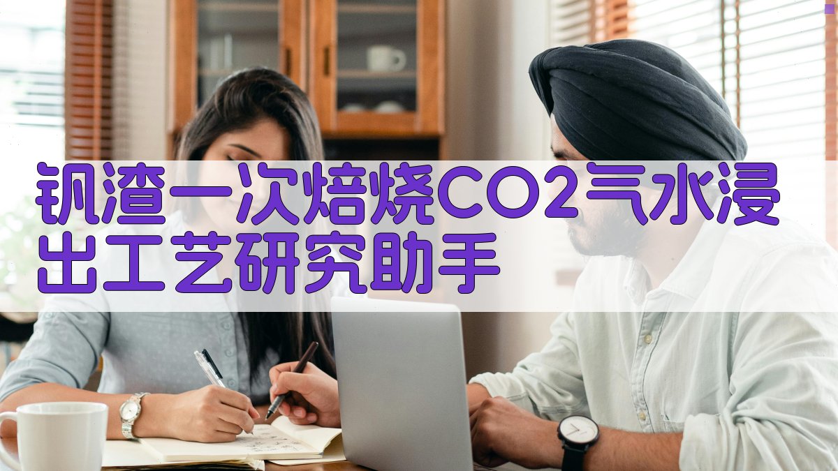 钒渣一次焙烧CO2气水浸出工艺研究助手