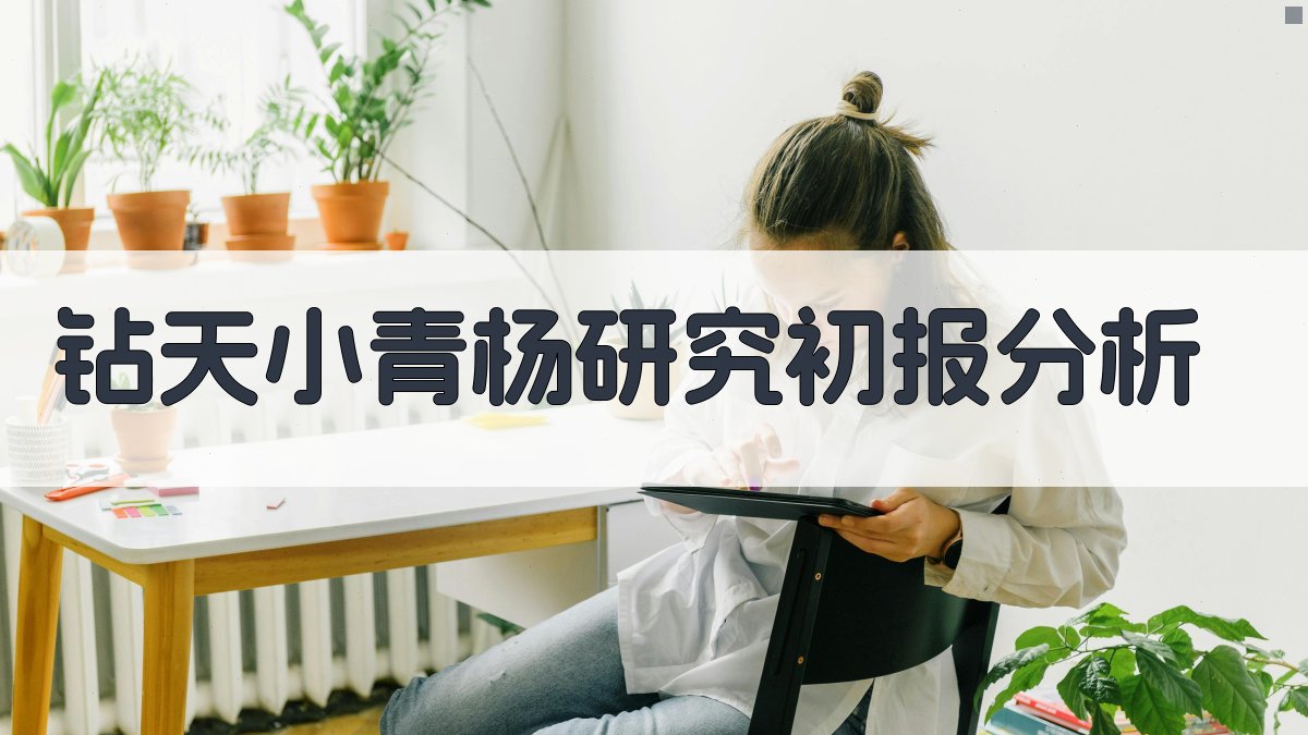 钻天小青杨研究初报分析