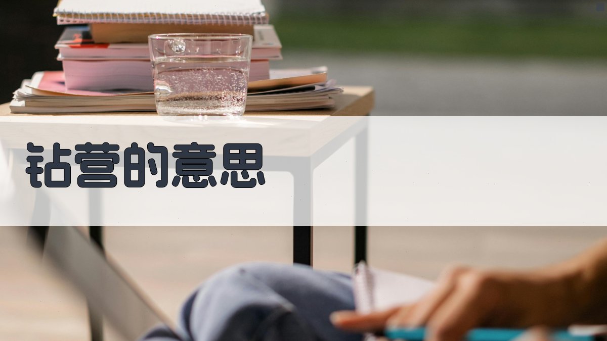 钻营的意思
