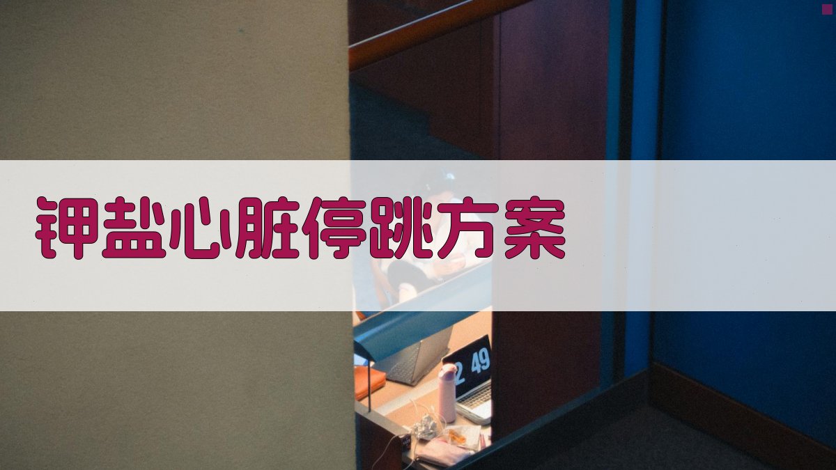 AI钾盐心脏停跳方案