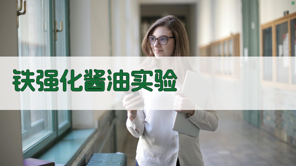 AI铁强化酱油实验工具