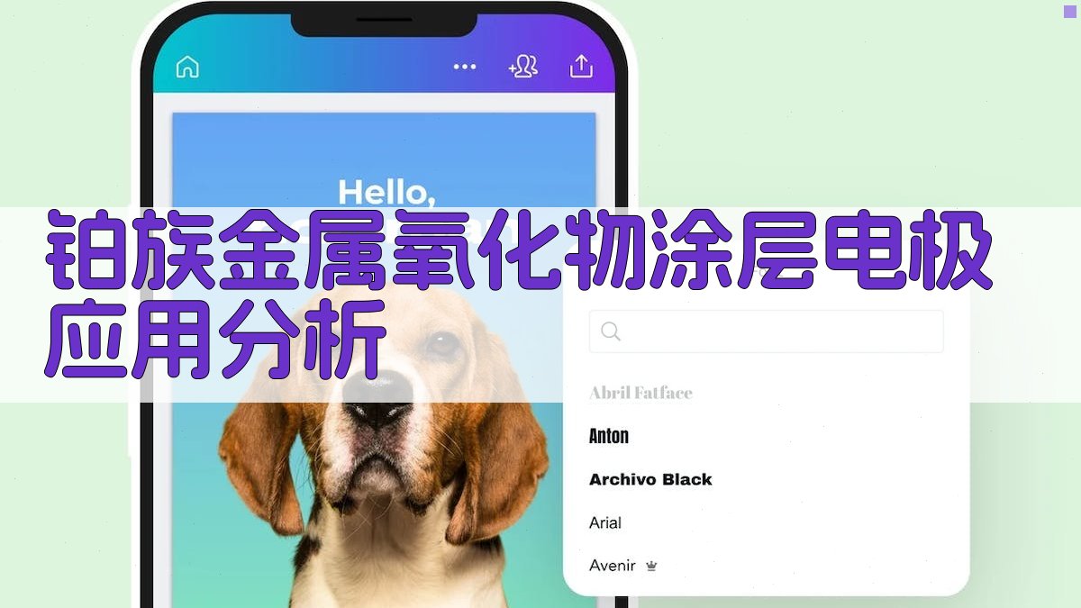 铂族金属氧化物涂层电极应用分析