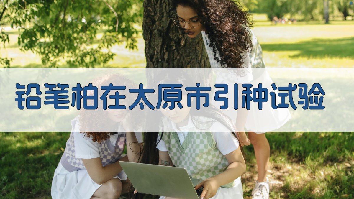 铅笔柏在太原市引种试验