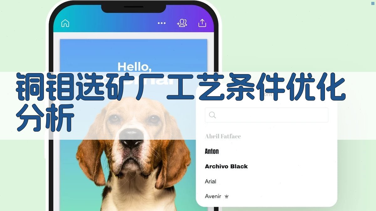 铜钼选矿厂工艺条件优化分析