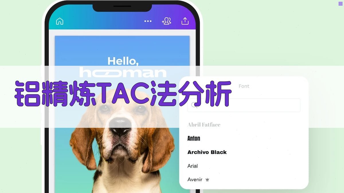 铝精炼TAC法分析工具