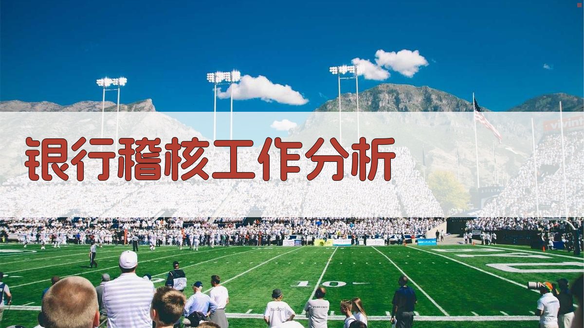 银行稽核工作分析工具