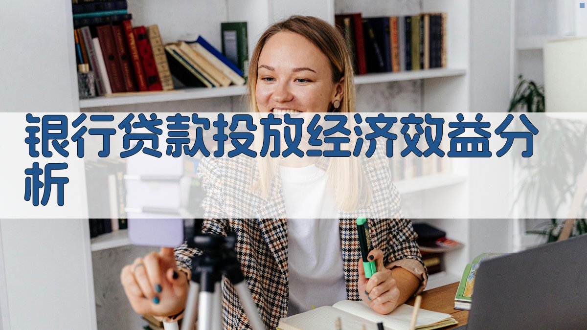 银行贷款投放经济效益分析