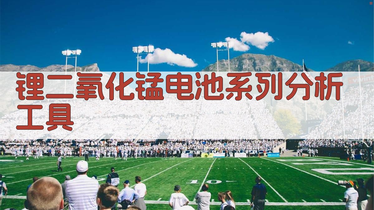 AI锂二氧化锰电池系列分析工具