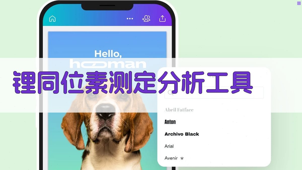 锂同位素测定分析工具