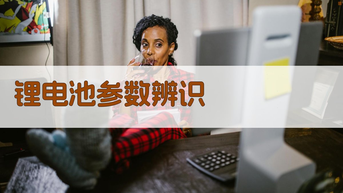 锂电池参数辨识研究助手