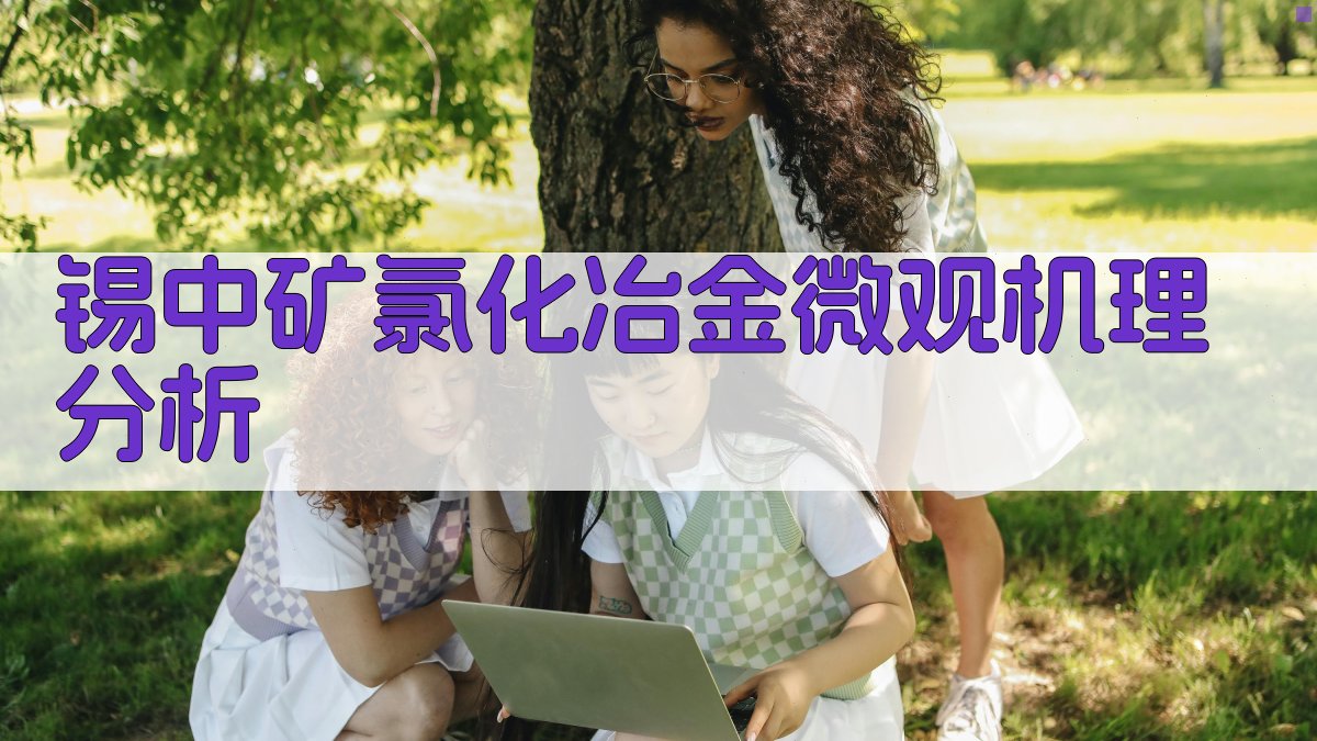 AI锡中矿氯化冶金微观机理分析