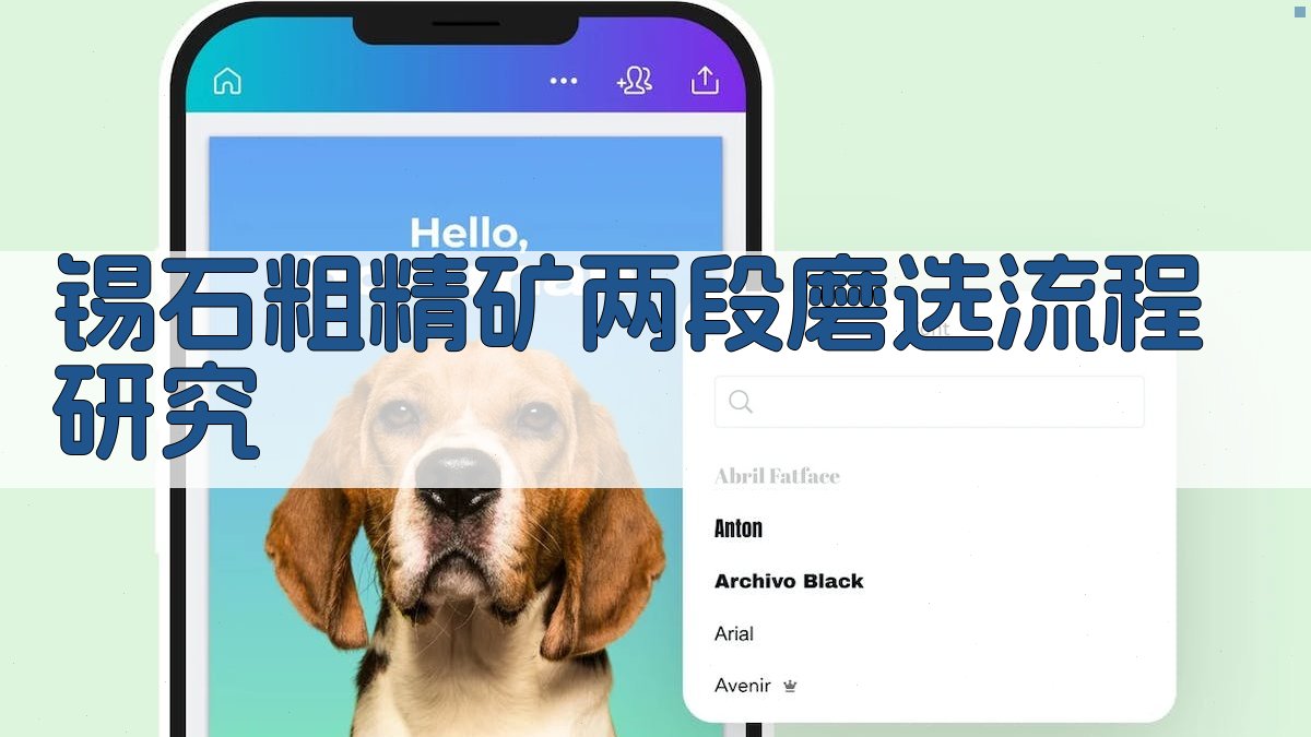 锡石粗精矿两段磨选流程研究