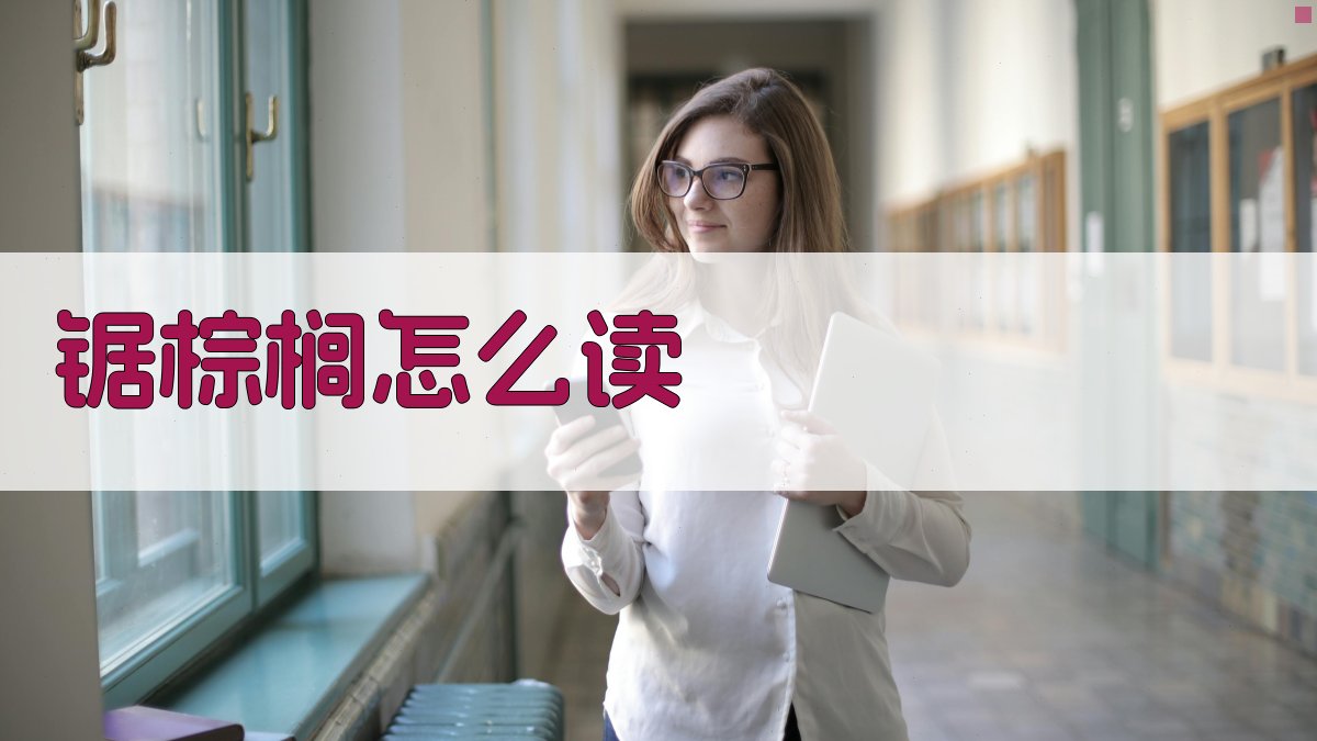 锯棕榈发音