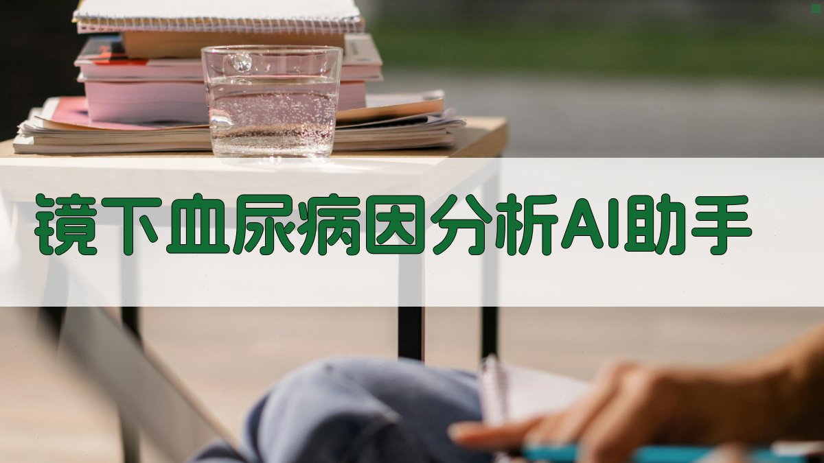 AI镜下血尿分析