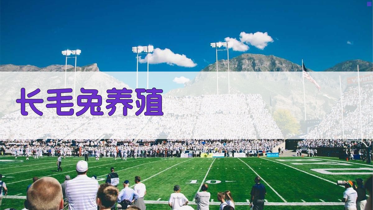 AI长毛兔养殖助手