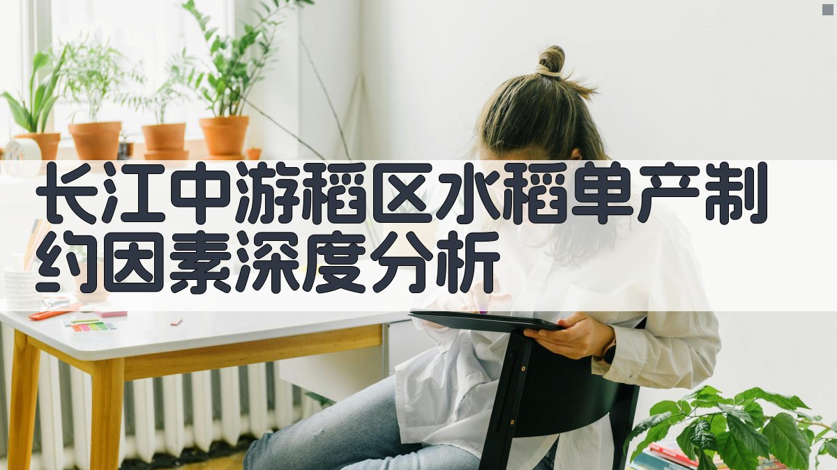 AI水稻单产制约因素深度分析