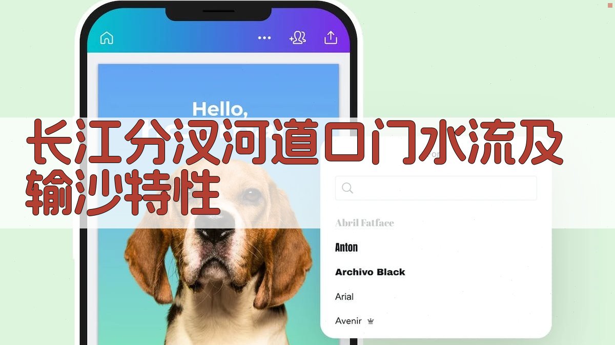 长江分汊河道口门水流及输沙特性分析