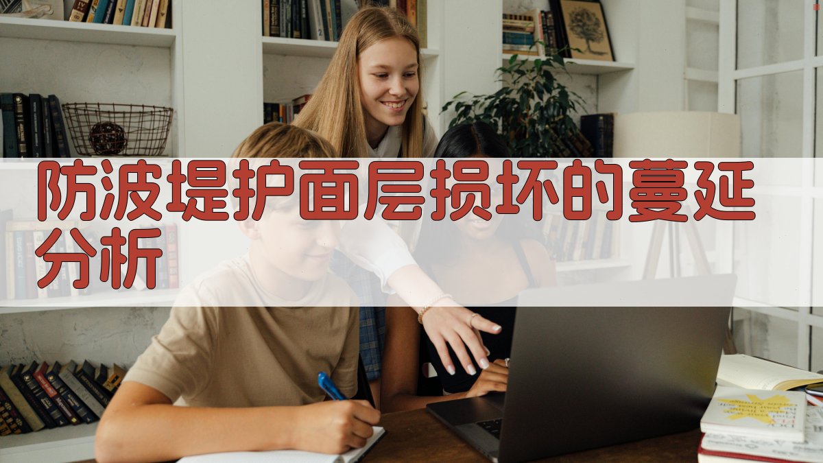 防波堤护面层损坏的蔓延分析