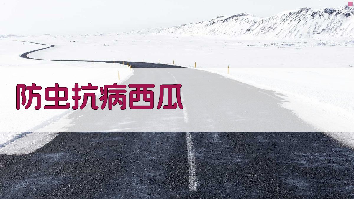 AI防虫抗病西瓜