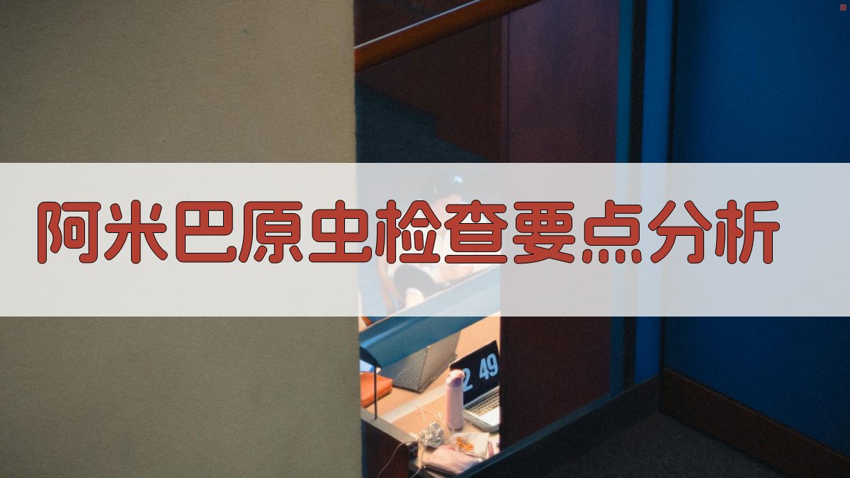 AI阿米巴原虫检查要点分析