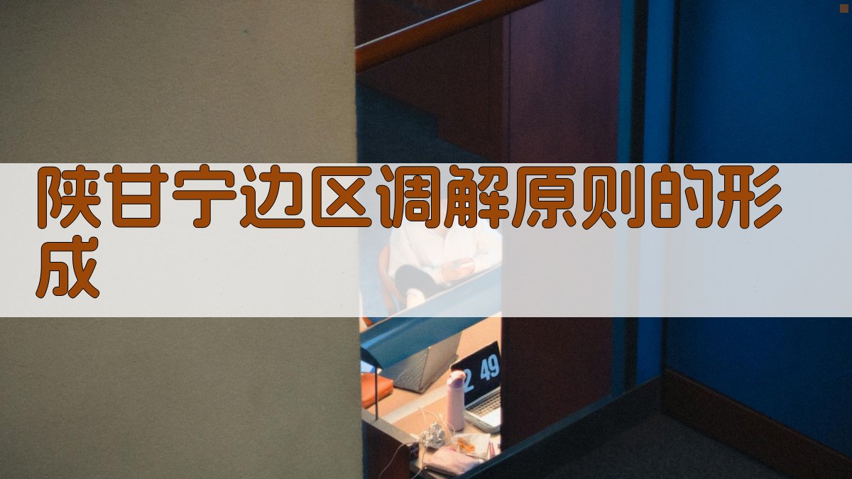 陕甘宁边区调解原则的形成