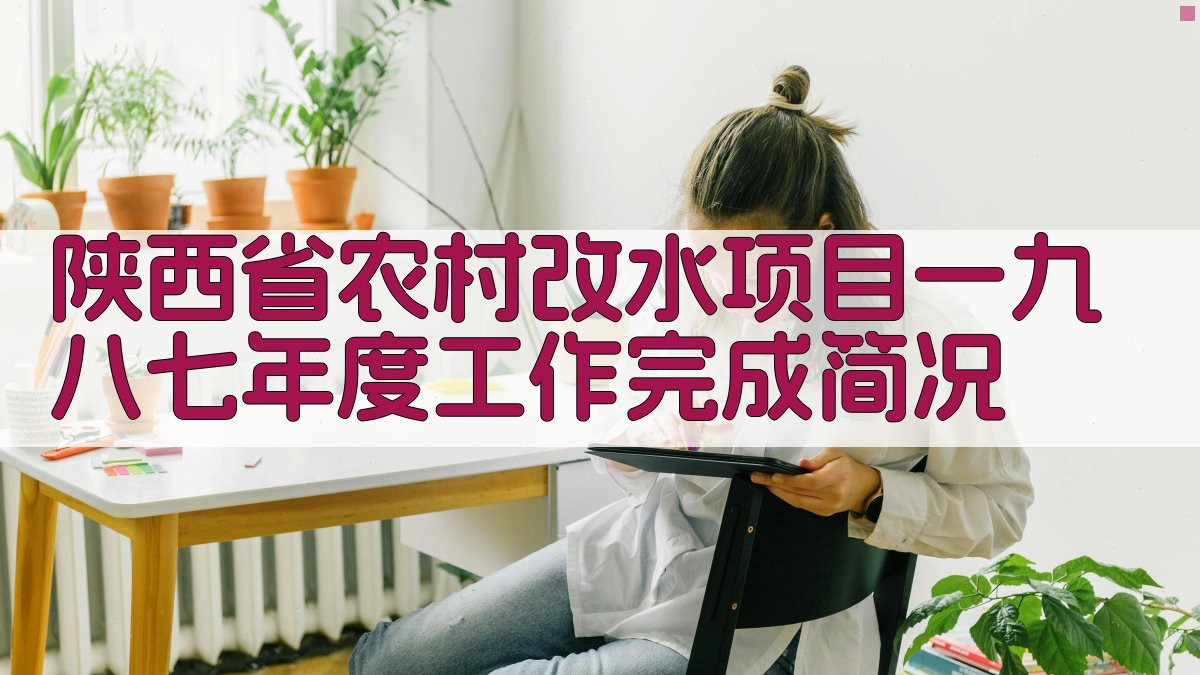 陕西省农村改水项目一九八七年度工作完成简况