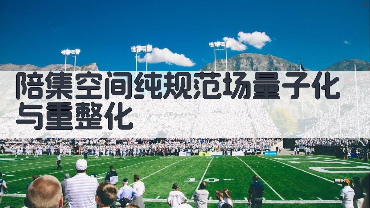 AI陪集空间纯规范场量子化与重整化分析