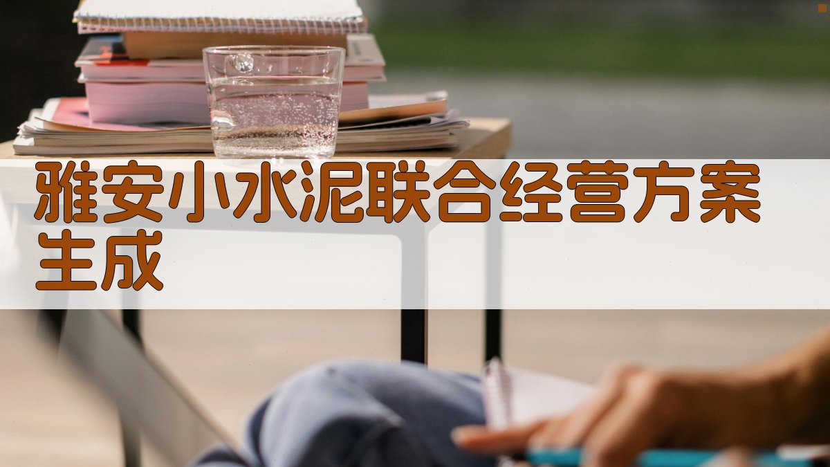 雅安小水泥联合经营方案生成
