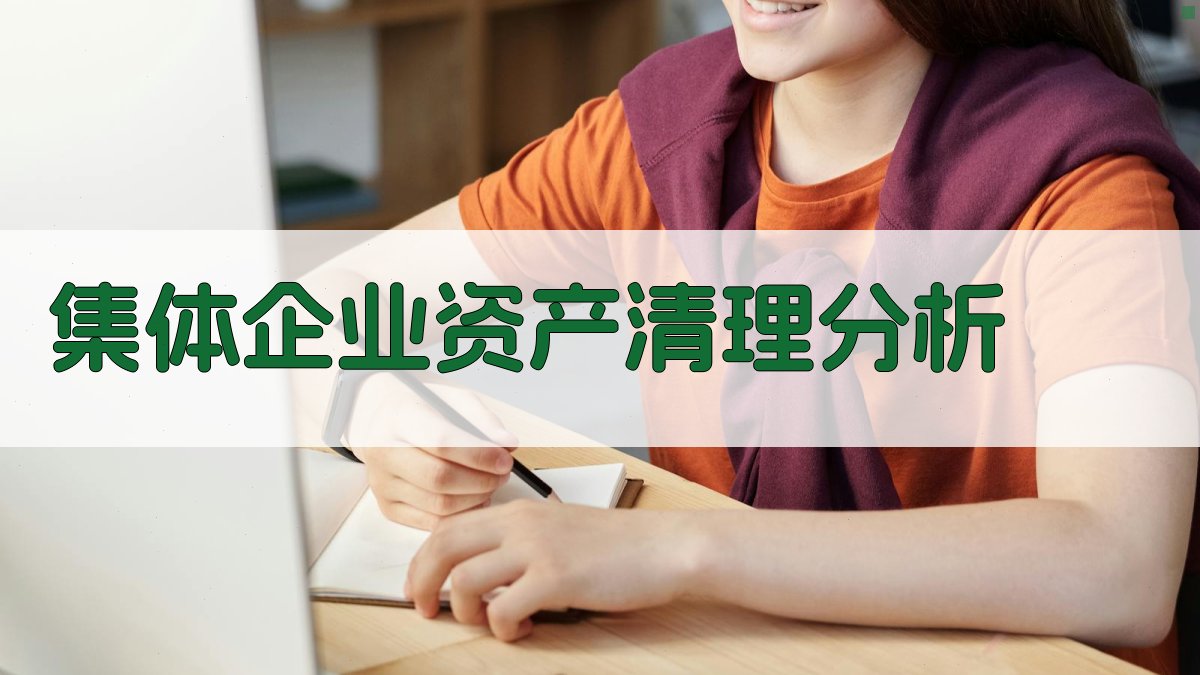 AI集体企业资产清理分析