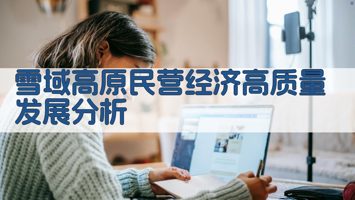 雪域高原民营经济高质量发展分析