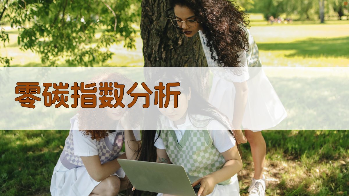 零碳指数构建与数据分析