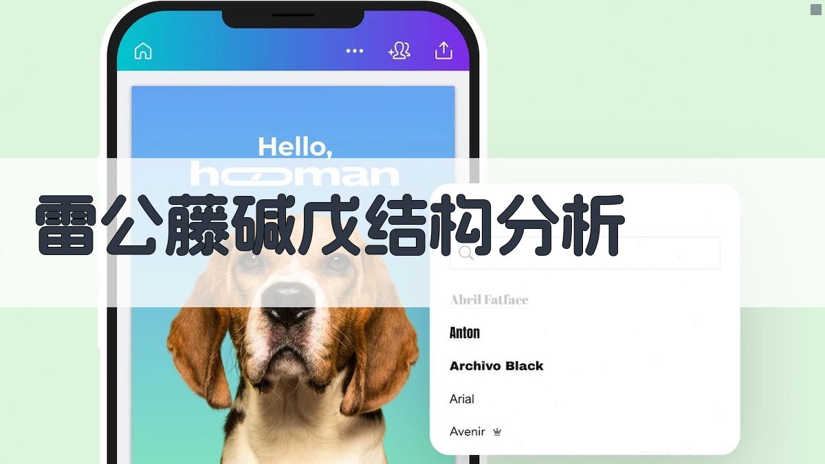 AI雷公藤碱戊结构分析