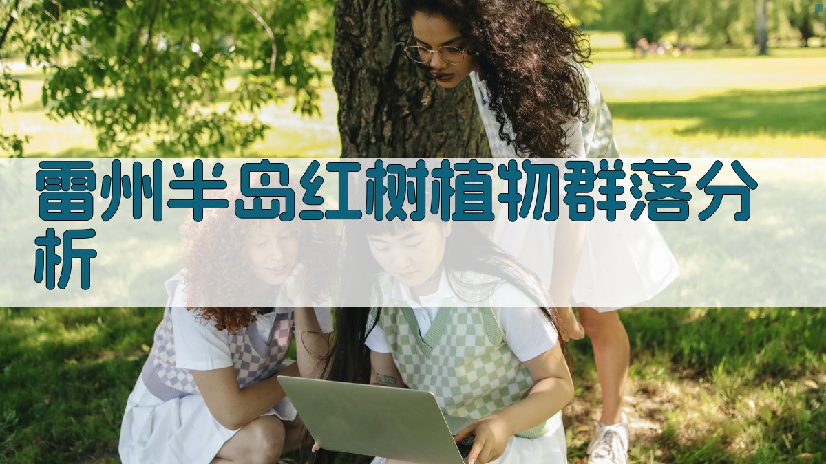 雷州半岛红树植物群落分析